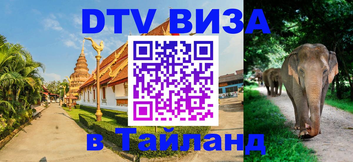 Купить DTV визу в Таиланд 